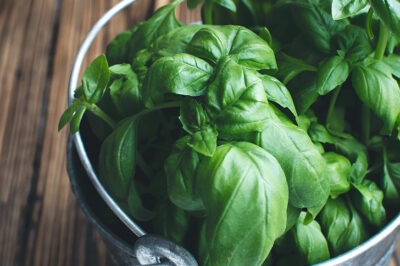 Basil: Natural Remedy for Postpartum Hair Growth